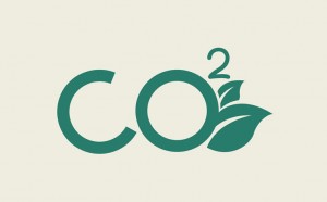 co2 small