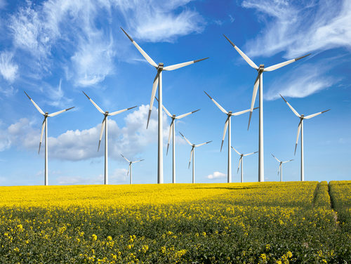 Vietnam : Lancement officiel du parc éolien de 800 Megawatt de Phu Cuong