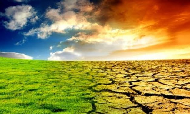 Lutte contre le réchauffement planétaire : Le CO2 comme un choix d’excellence