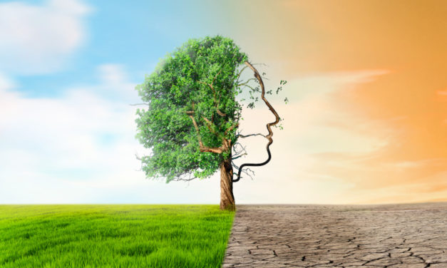 Réfrigération respectueuse de l’environnement