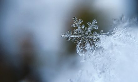 Le nouveau système de contrôle cryogénique de Messer