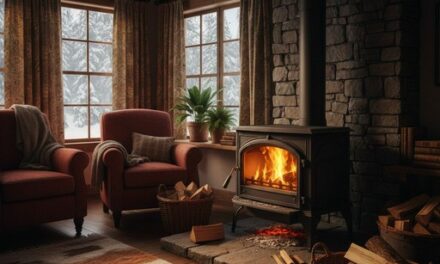 Chaudières biomasse : la fin des aides en 2026 menace une filière clé et pèse sur les ménages