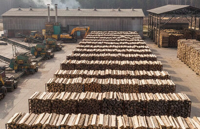 En Haute-Saône, le bois de chauffage industriel séduit un marché en pleine mutation