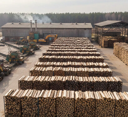 En Haute-Saône, le bois de chauffage industriel séduit un marché en pleine mutation